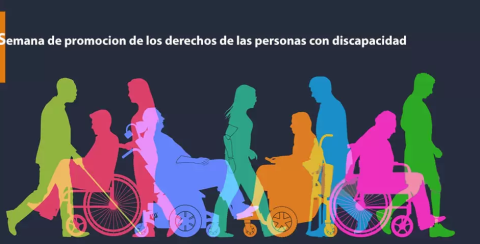 discapacidades discapacidad