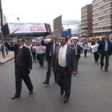 lucha sede bogotá