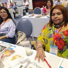Delegaciones