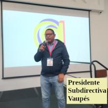presidente subdirectiva vaupes